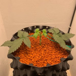 FullSizeRender (1).jpg