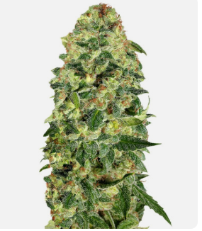 1726049879618.png 1726049879618.png