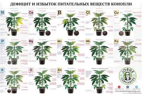 трабл.jpg трабл.jpg