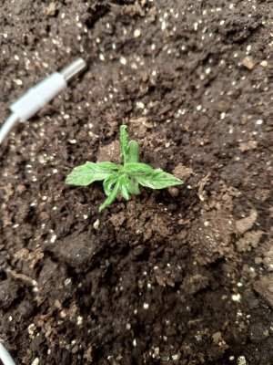 Солнце2.jpg Солнце2.jpg