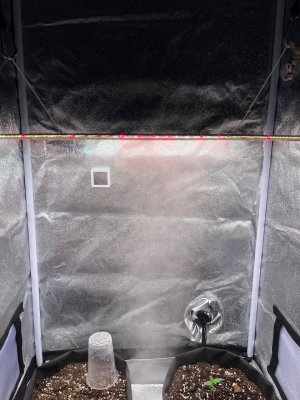 общий план.jpg