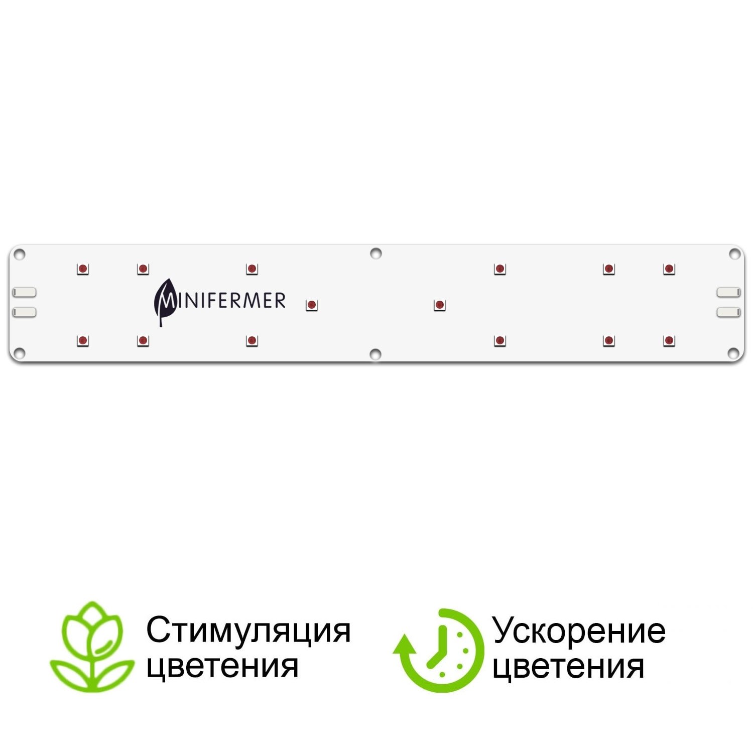 minifermer.ru